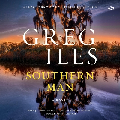 Book cover for Southern Man