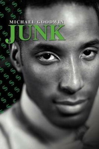 Cover of Junk