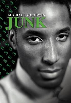 Book cover for Junk