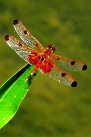 Cover of Red Heart Dragonfly Lined Journal for daily thoughts notebook Lovely Lake Arrowhead Photograph