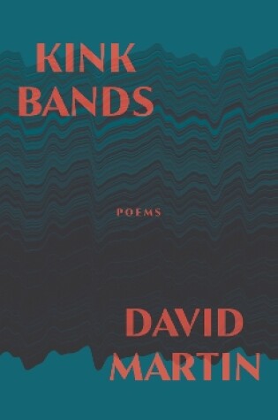 Cover of Kink Bands