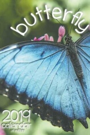 Cover of Butterfly 2019 Calendar (UK Edition)