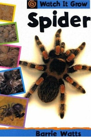 Cover of Spider