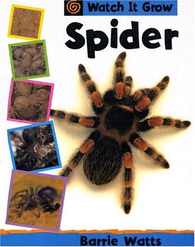 Book cover for Spider