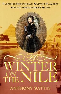 Book cover for A Winter on the Nile