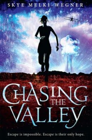 Cover of Chasing the Valley