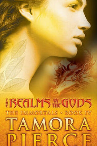 Cover of The Realms of the Gods