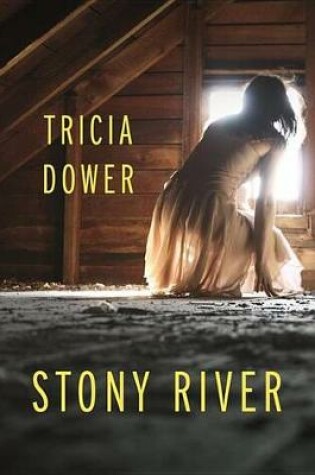 Cover of Stony River