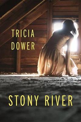 Stony River by Tricia Dower