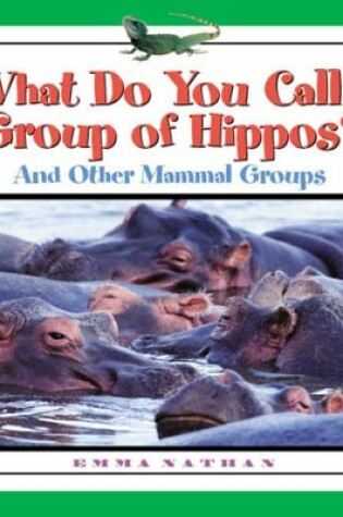 Cover of What Do You Call a Group of Hippos?
