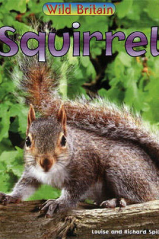 Cover of Wild Britain: Squirrel Paperback