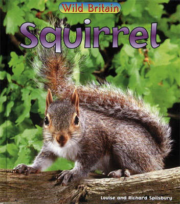 Book cover for Wild Britain: Squirrel Paperback