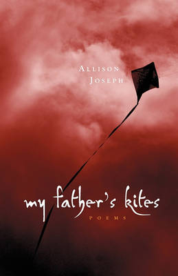 Book cover for My Father's Kites