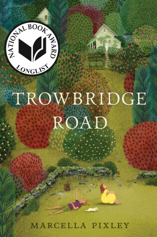 Book cover for Trowbridge Road