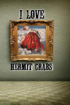 Book cover for I Love Hermit Crabs