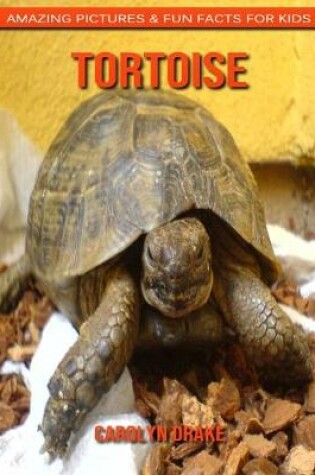 Cover of Tortoise