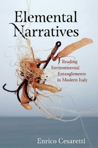 Cover of Elemental Narratives