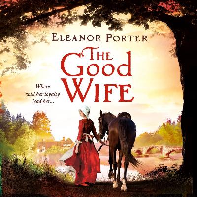 Book cover for The Good Wife