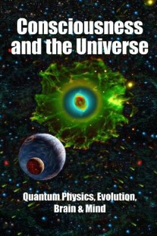 Cover of Consciousness and the Universe