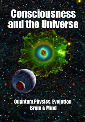 Book cover for Consciousness and the Universe