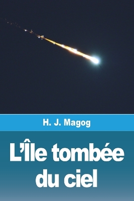 Book cover for L'Île tombée du ciel