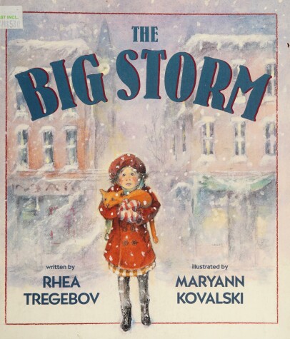 Book cover for The Big Storm
