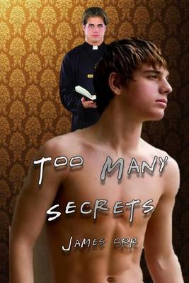 Book cover for Too Many Secrets