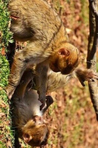 Cover of A Pair of Barbary Macaques Playing Journal