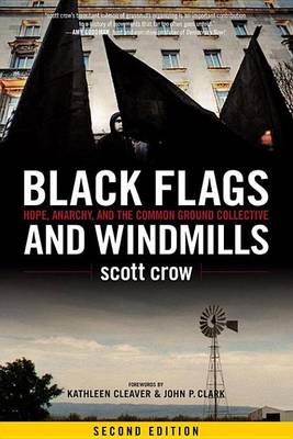 Book cover for Black Flags and Windmills