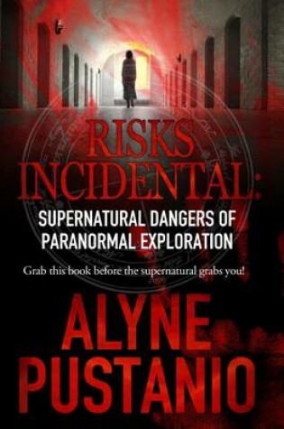 Cover of Risks Incidental