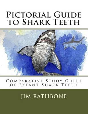 Book cover for Pictorial Guide to Shark Teeth