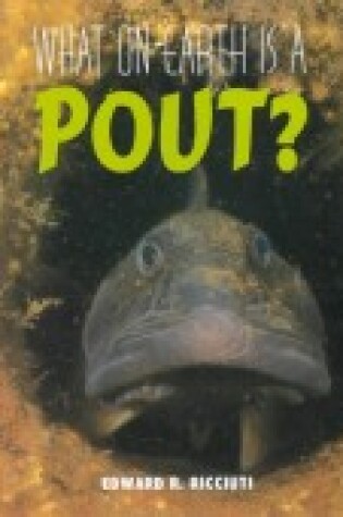 Cover of Pout
