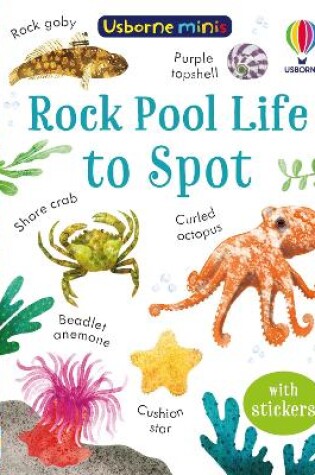 Cover of Rock Pool Life to Spot