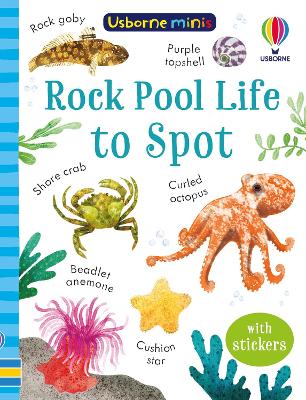 Book cover for Rock Pool Life to Spot
