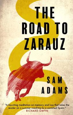 Book cover for The Road to Zarauz