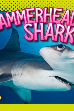 Cover of Hammerhead Sharks