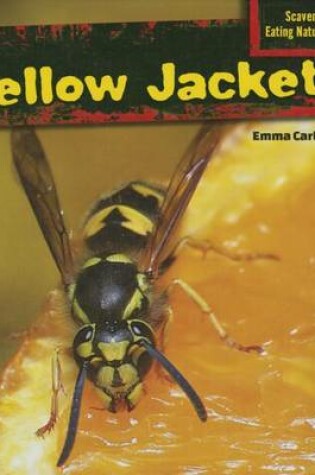 Cover of Yellow Jackets