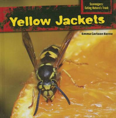 Book cover for Yellow Jackets