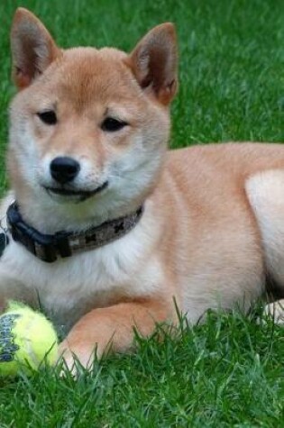 Cover of Shiba Inu Puppy Dog with a Ball Journal