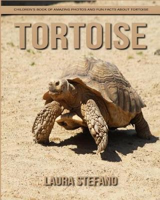 Book cover for Tortoise