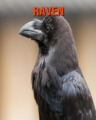 Book cover for Raven