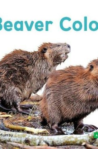 Cover of Beaver Colony