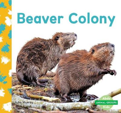 Book cover for Beaver Colony