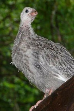 Cover of Guinea Fowl Journal (Guineafowl)