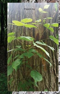 Book cover for Poison Ivy