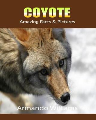 Book cover for Coyote