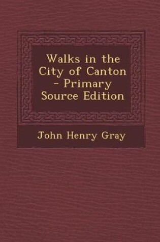 Cover of Walks in the City of Canton - Primary Source Edition