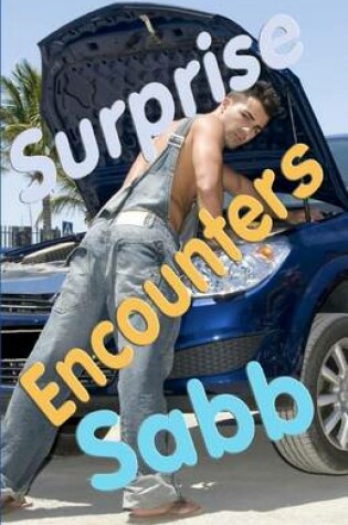 Cover of Surprise Encounters