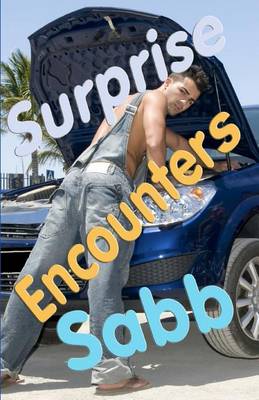 Book cover for Surprise Encounters