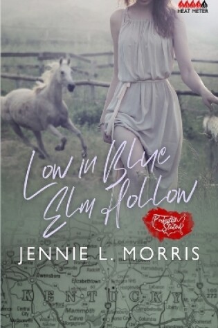 Cover of Low in Blue Elm Hollow - A Mail Order Bride Story